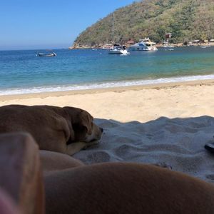 Meet your Posher, Lauri